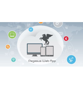 PEGASUS WEB APP BUSINESS PORTAL