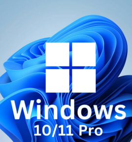 MS WINDOWS 10/11 PRO ESD