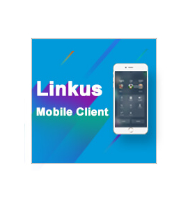 LINKUS S100