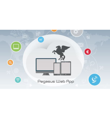 PEGASUS WEB APP BUSINESS PORTAL