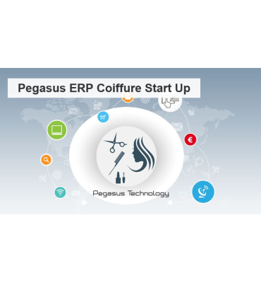 PEGASUS ERP COIFFURE START UP