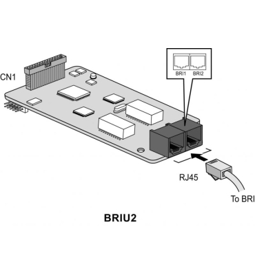 EMG80-BRIU2